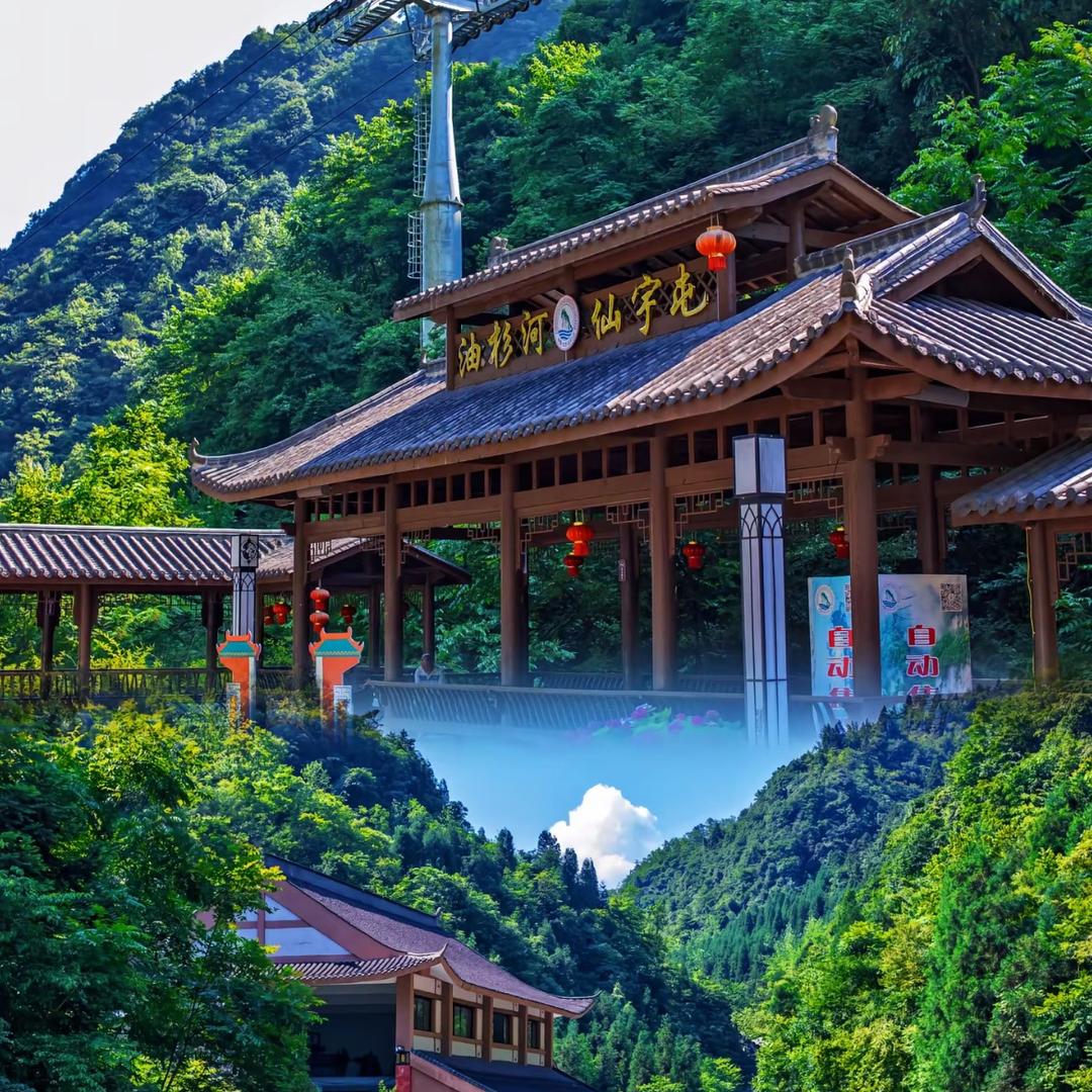 贵州旅游推荐官（油杉河）
