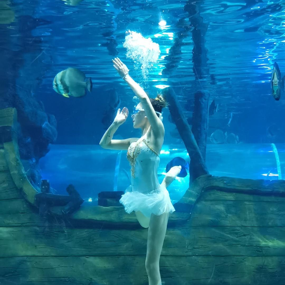 人鱼🧜‍♀️怡宝
