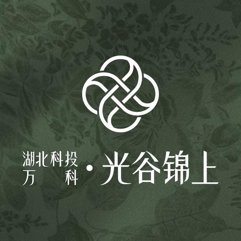 湖北科投 | 万科·光谷锦上