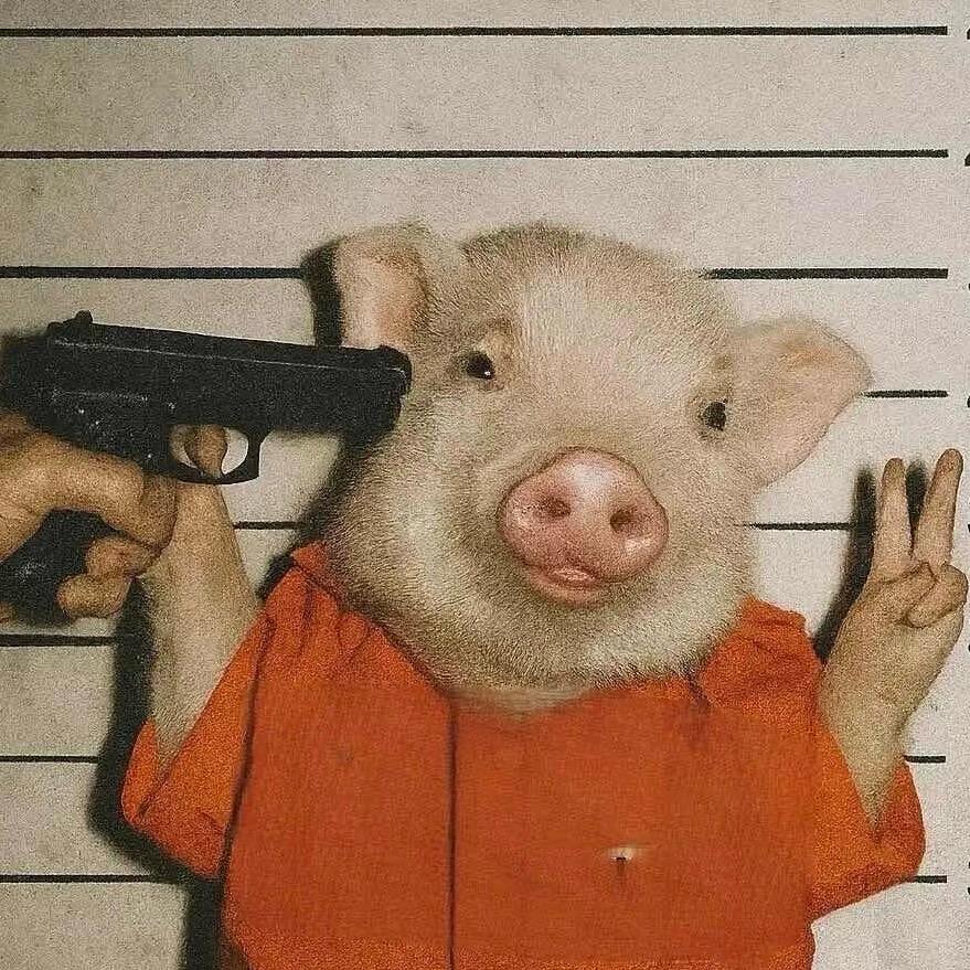 小劳同志🇨🇳（驾培C1•C2)