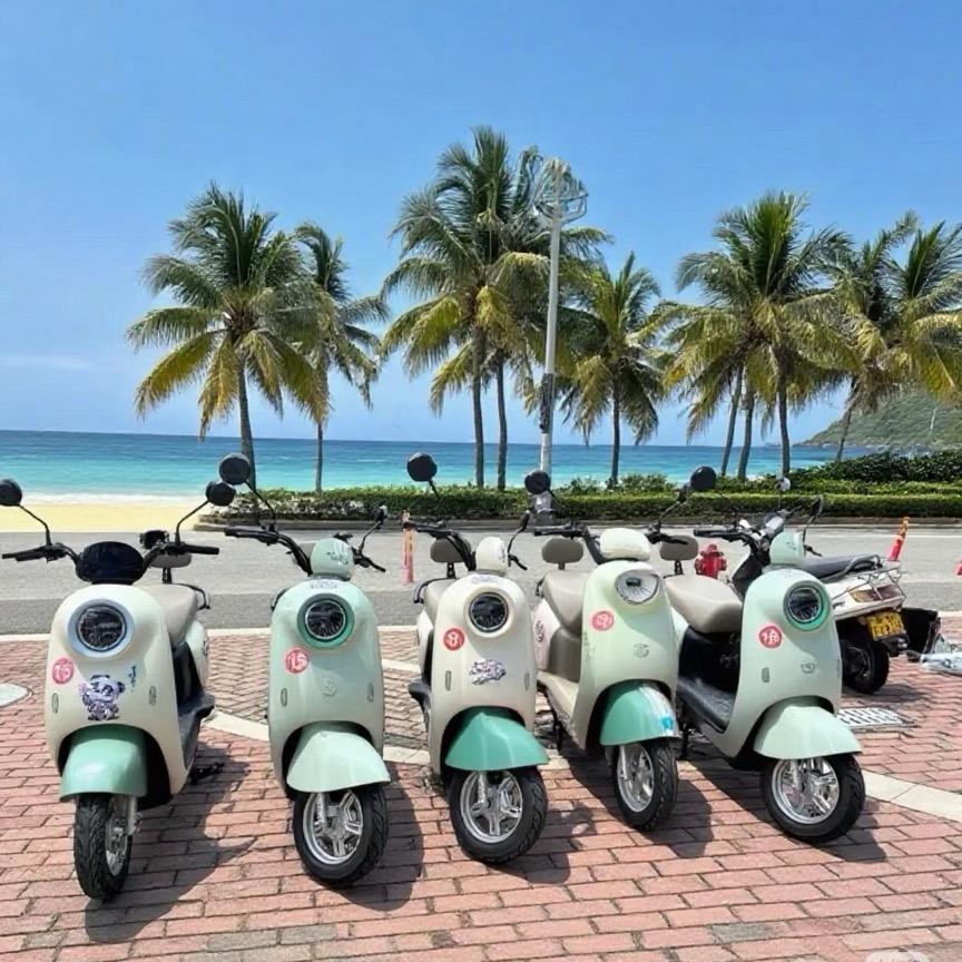 海陵岛琪琪家电动车出租官方号