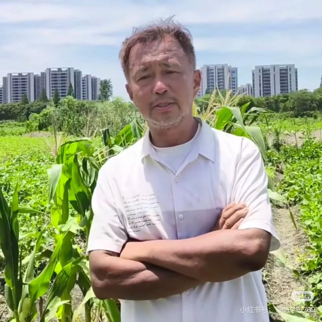 大师在人间沈巍
