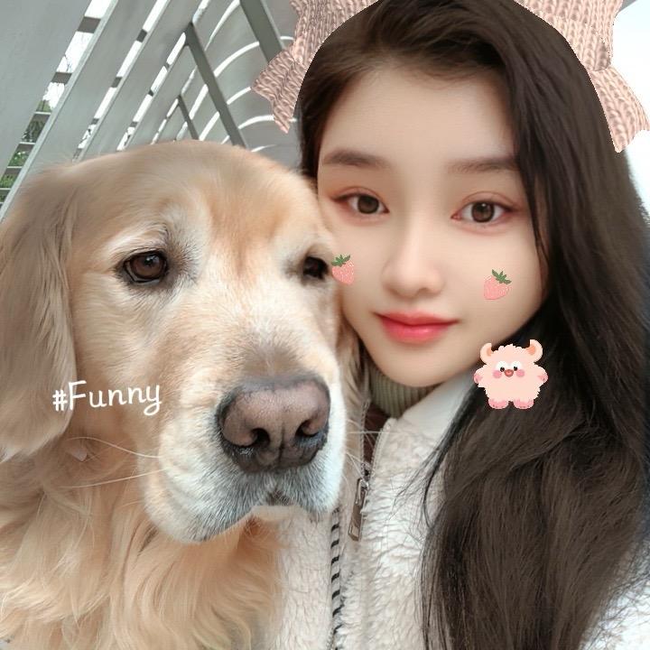 安迪狮子座