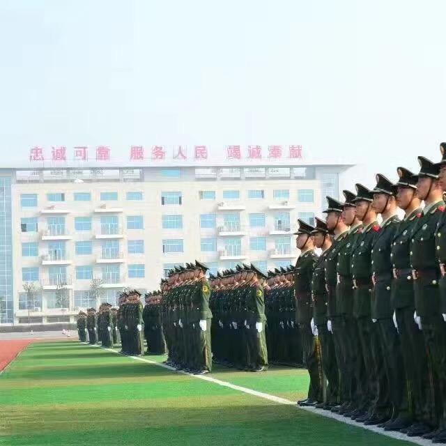 zy陈