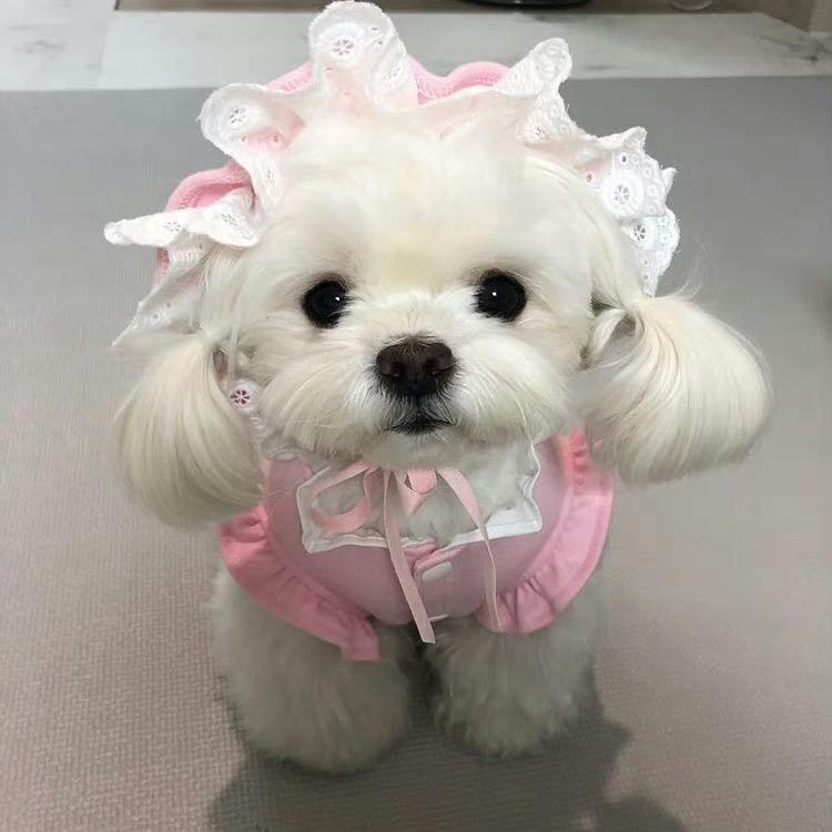 麦麦辣鸡爪