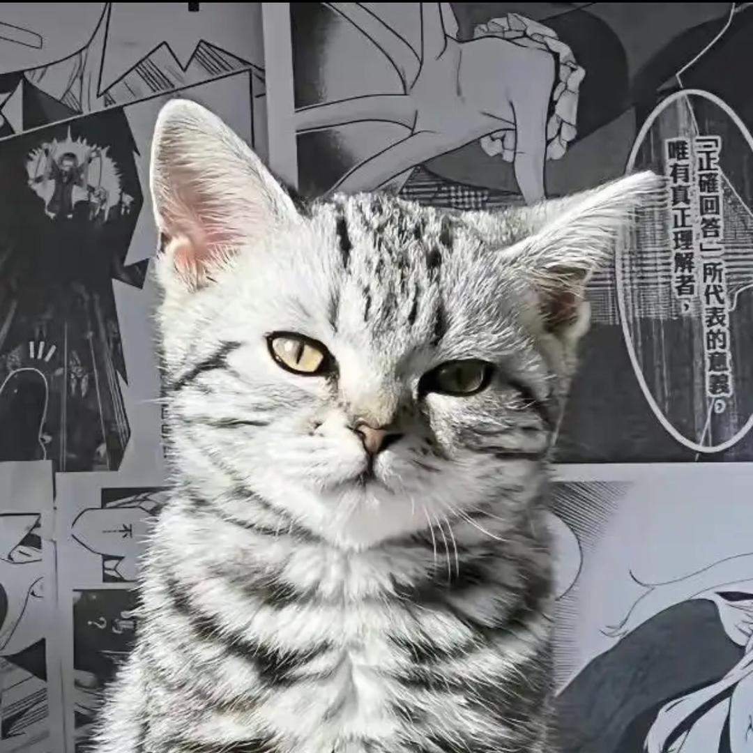 情