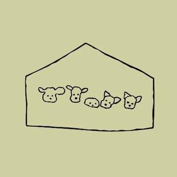 我摸摸小狗日托班