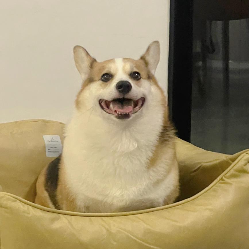 百万万岁