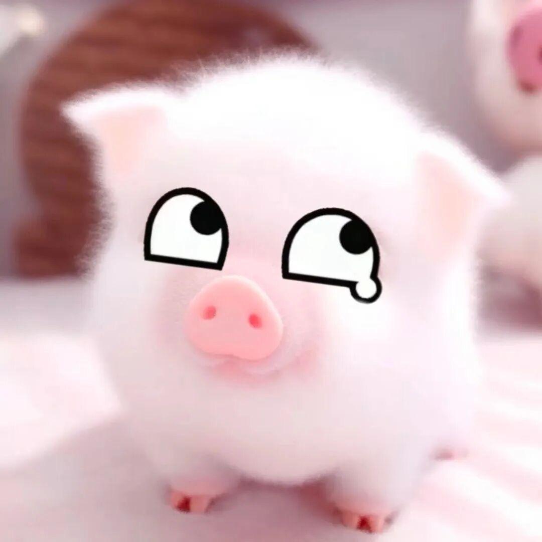 小鱼