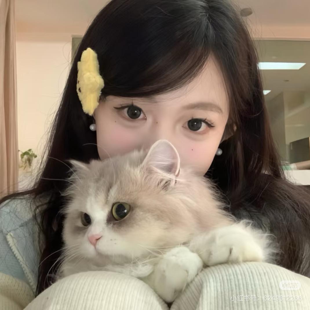 考证晨晨老师