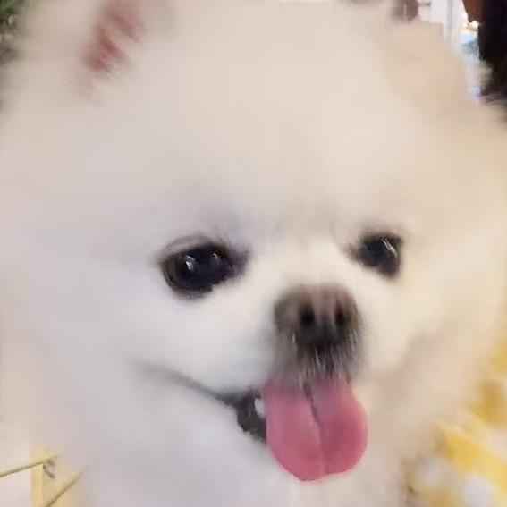 甘得意