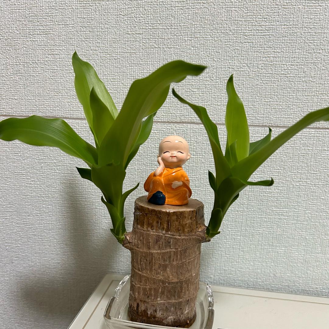 子彬