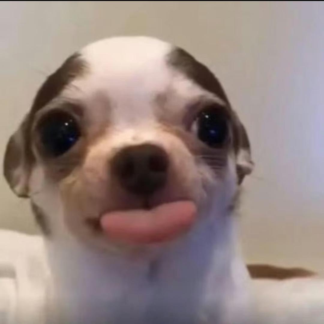 脆脆鲨T^T