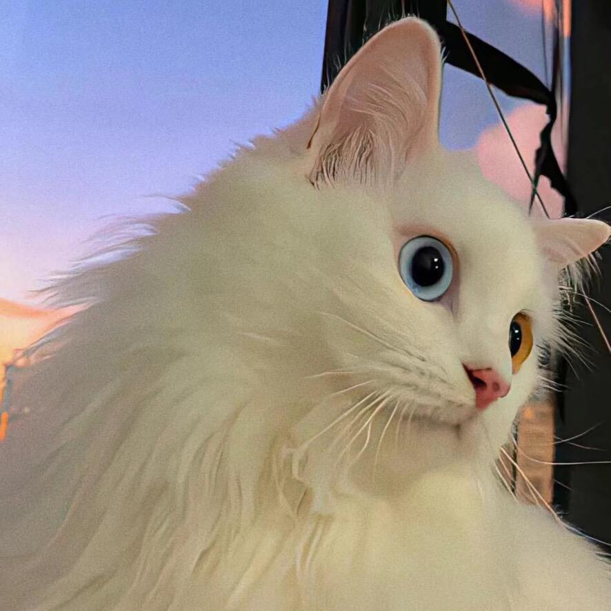 小咏