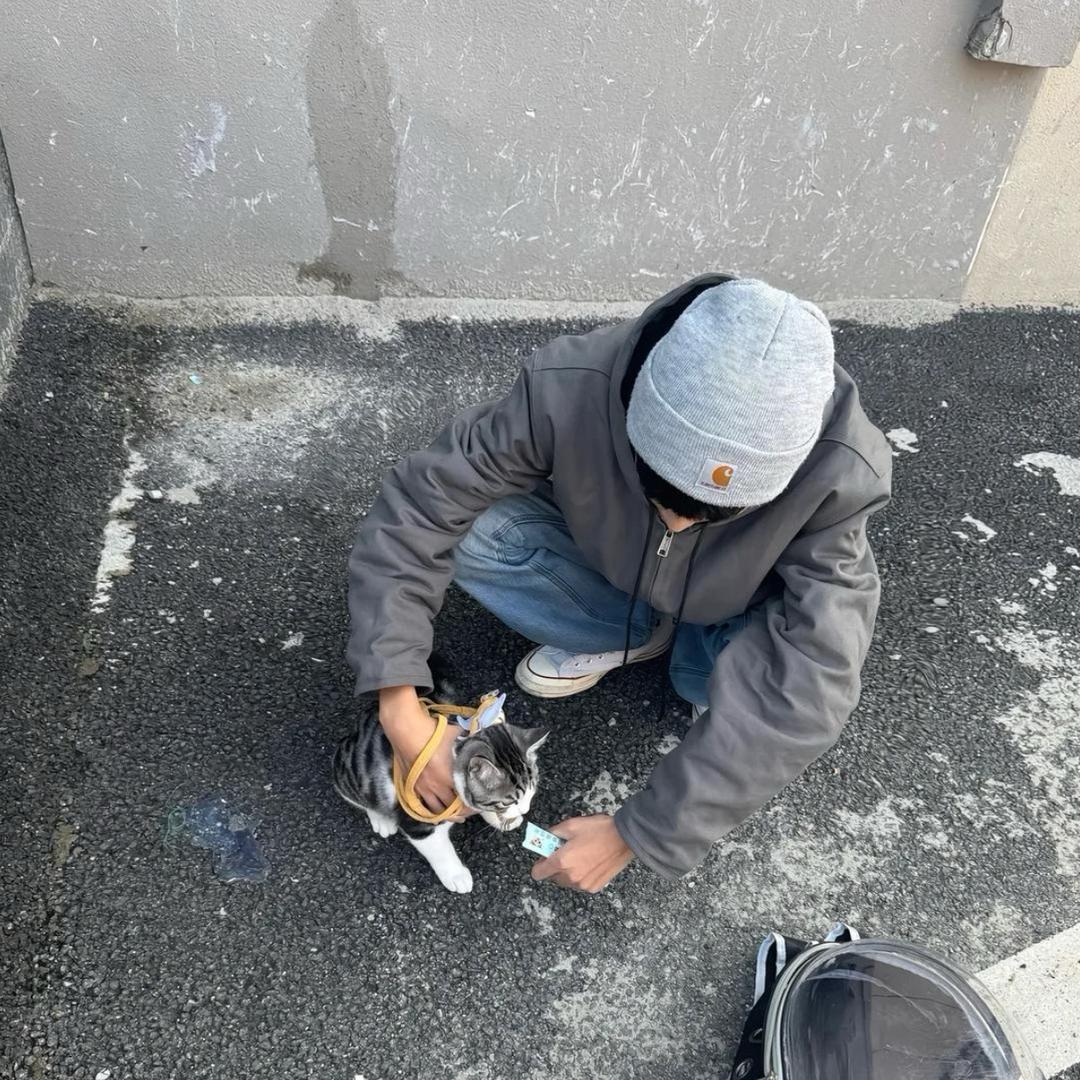 ㅤㅤ         ㅤㅤ