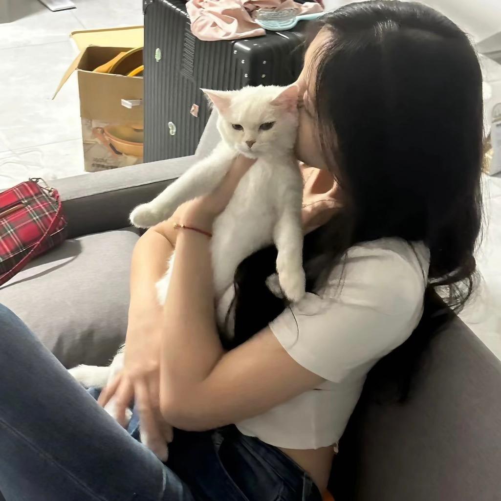 橙橙