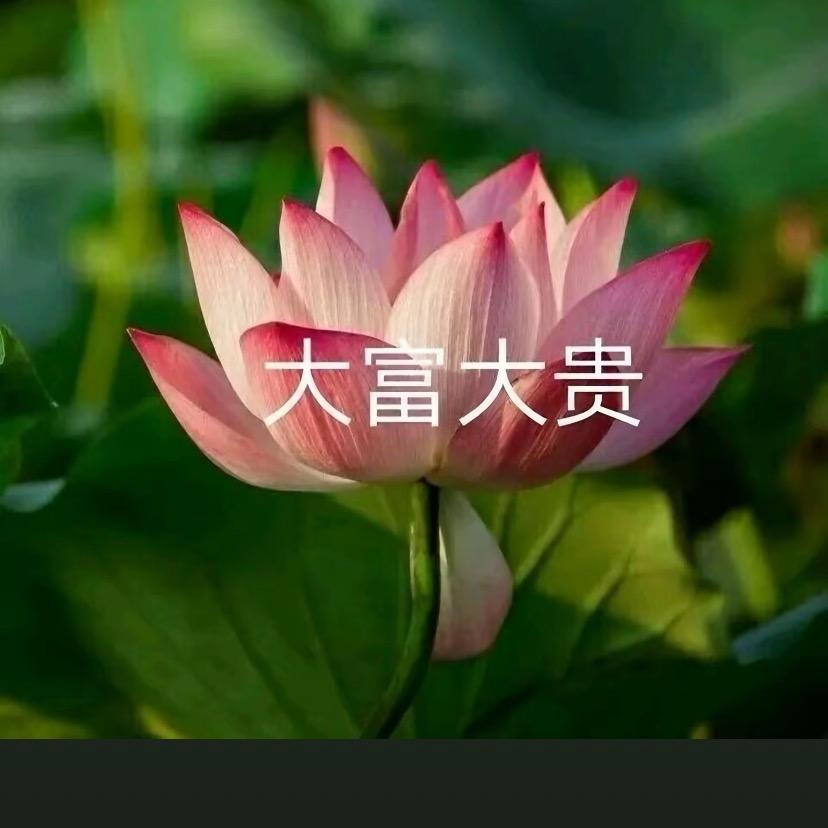 天天向上。