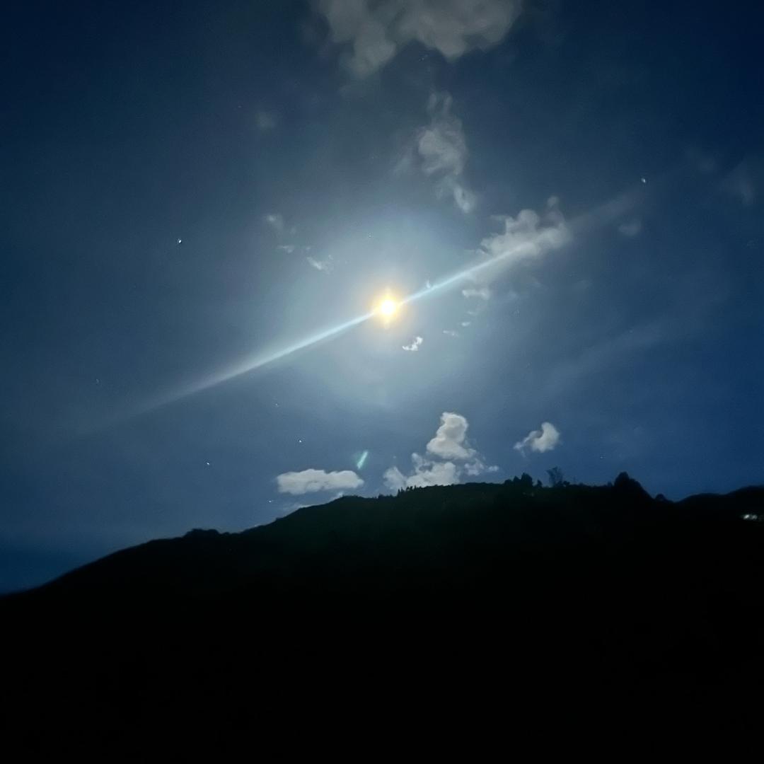 孤影陌路