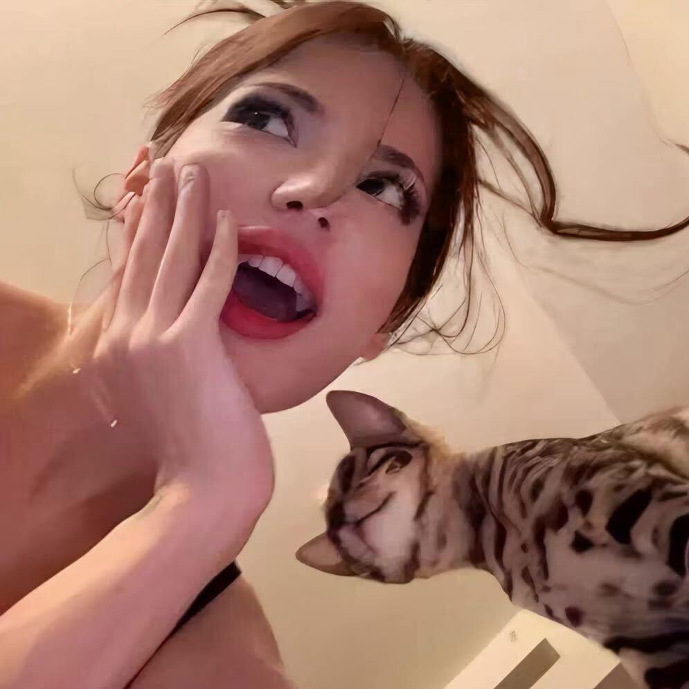 蔡大羙💋