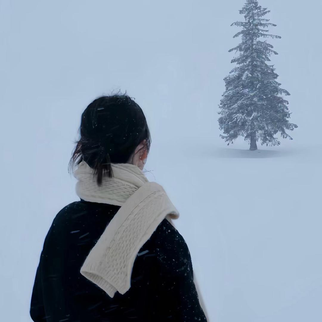 去市家具 广州进化岛贸易有限公司