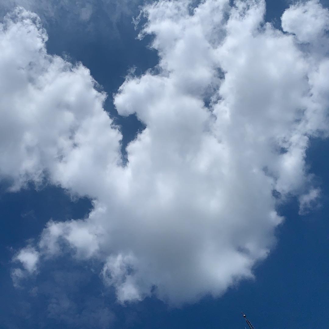 骑着蜗牛慢慢走