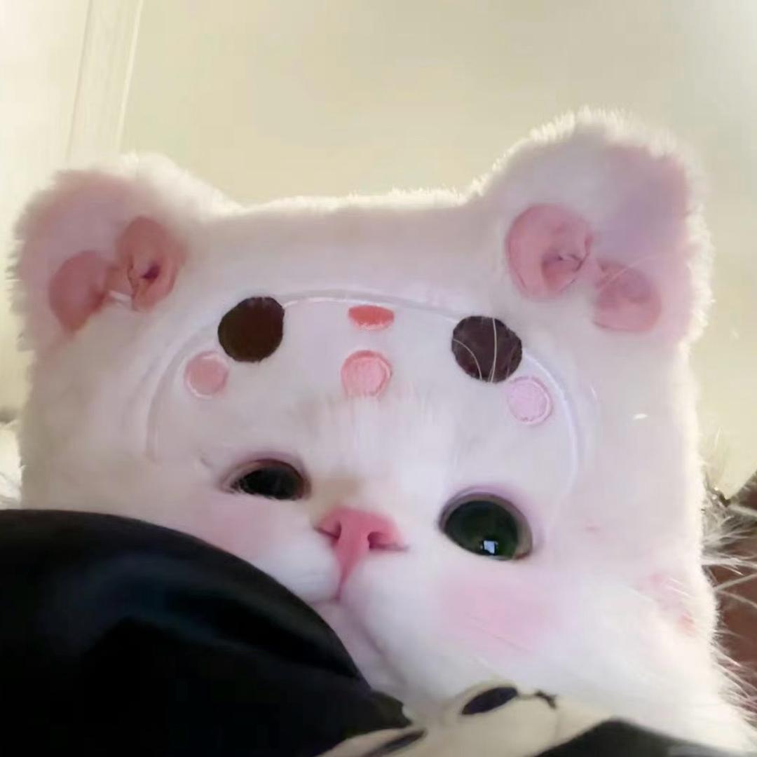 🐈‍⬛
