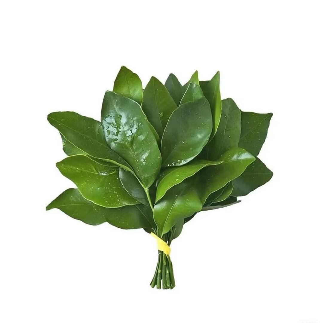 1只小渔