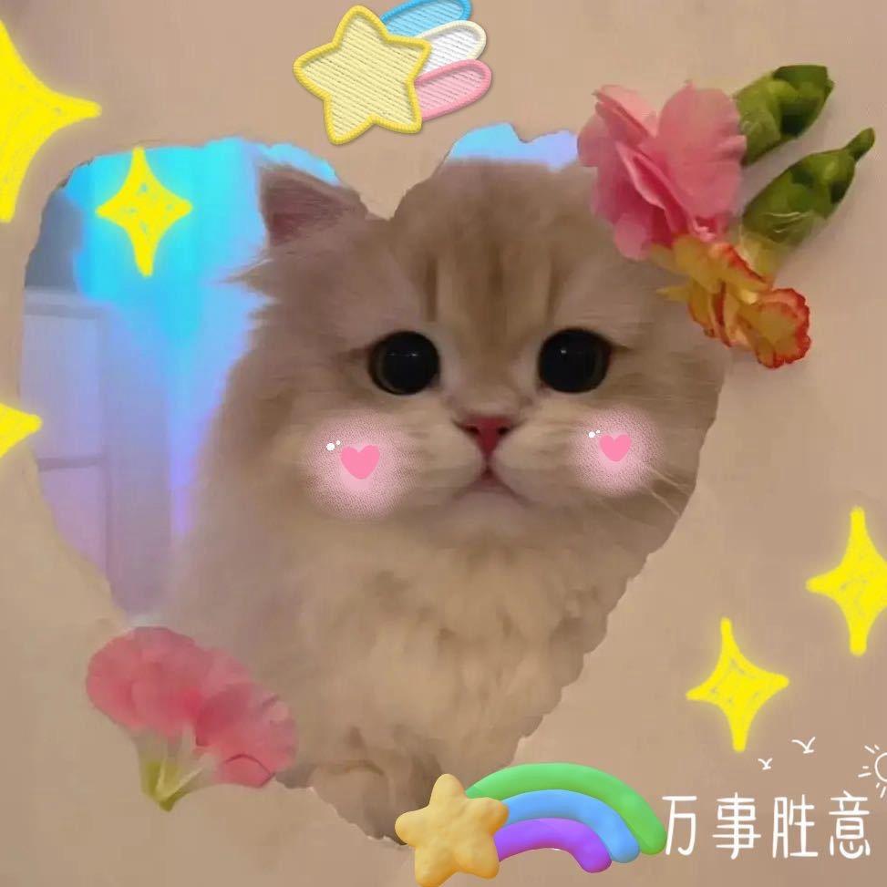 橘子味的园喵喵🐱
