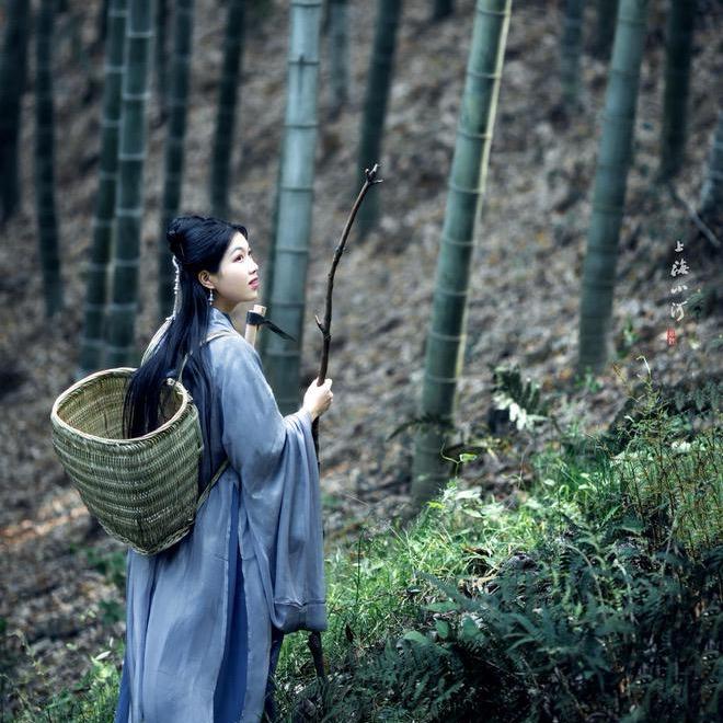 杏林春满堂