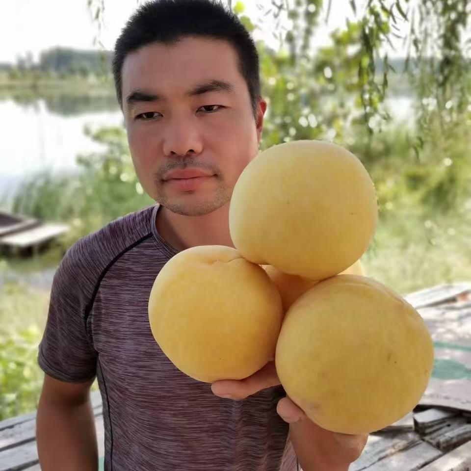 徐州鲜桃居农业科技有限公司