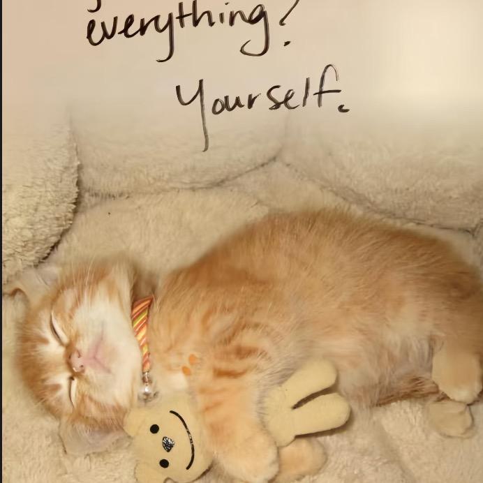 吃了耗子药这一世我不再抠脚