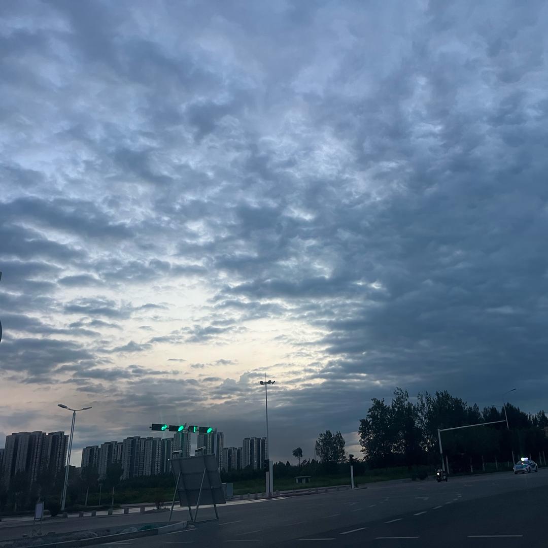 会