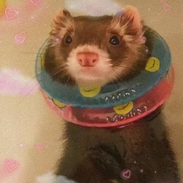 歪歪歪