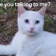 Jec