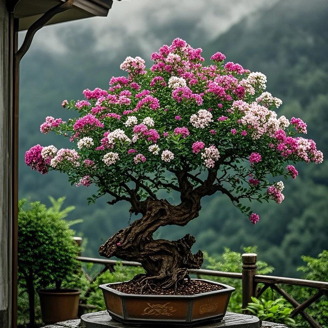 皇家绿植基地