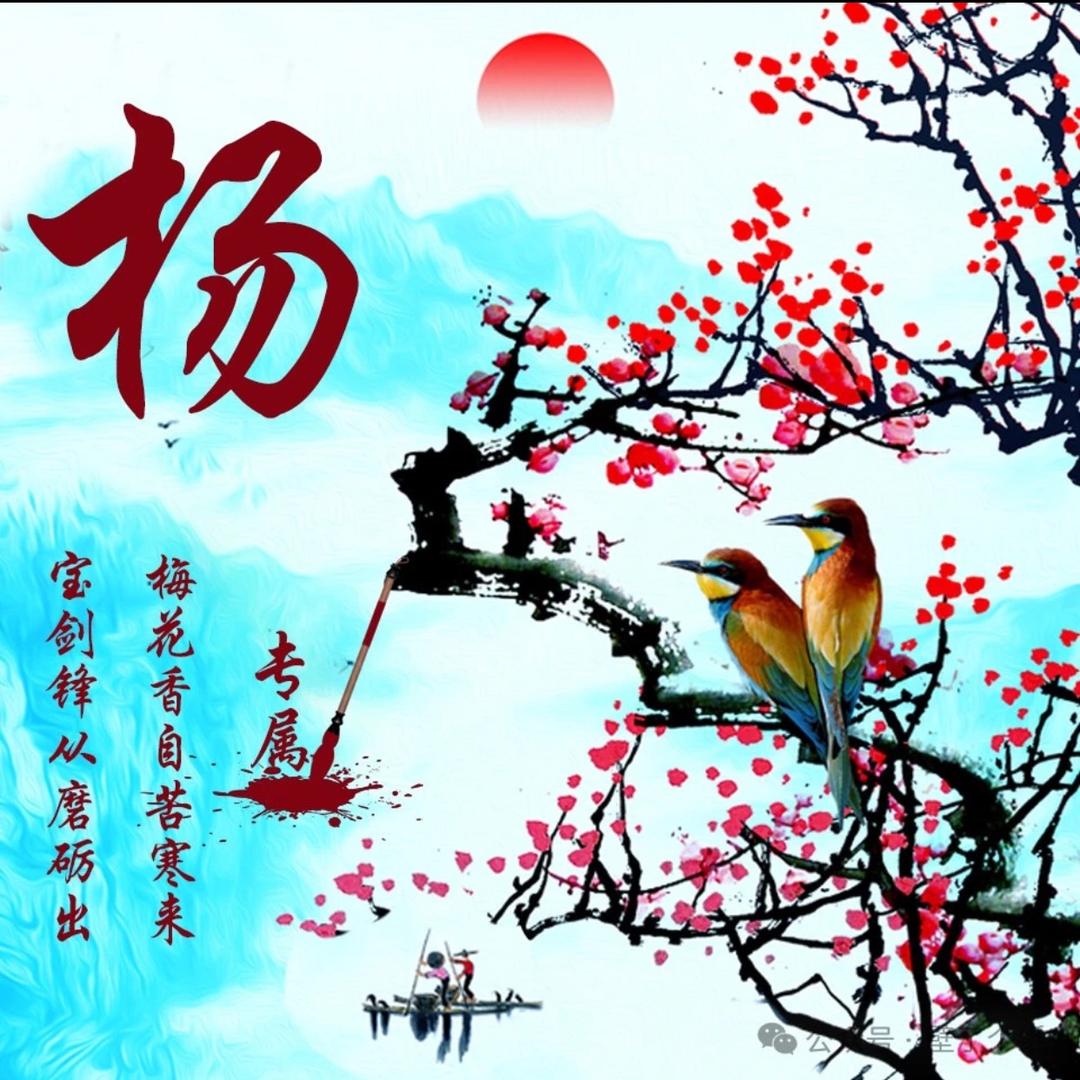 女人如梦