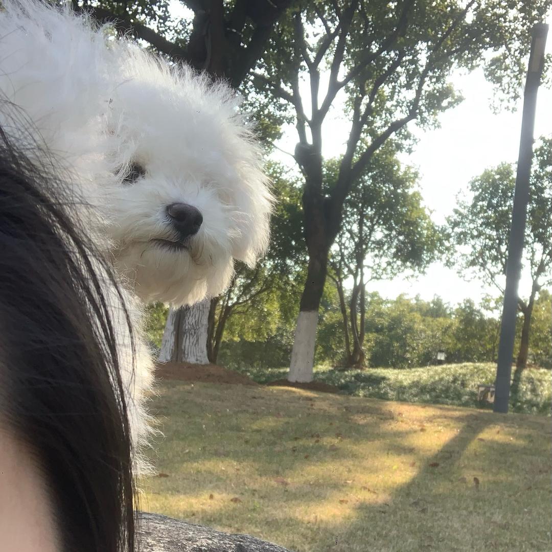 kioo.