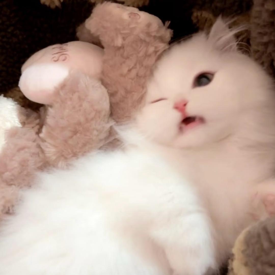 肉桂苹果舒芙蕾