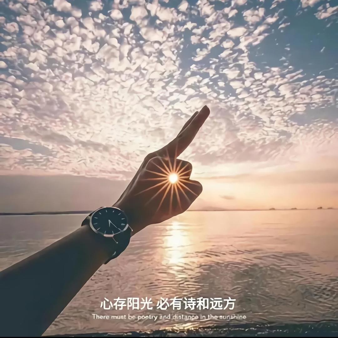 ☀️桑桀