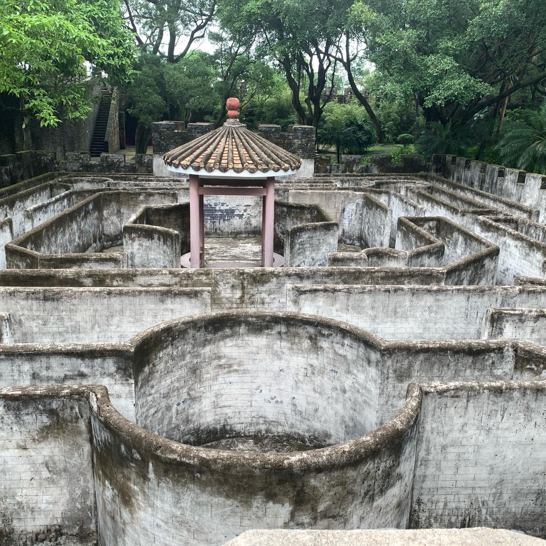 …..花开富贵