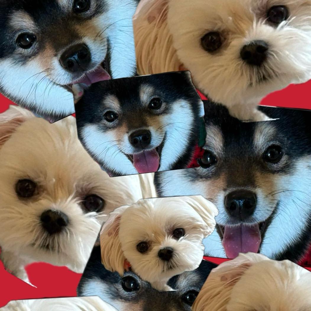 周翊然