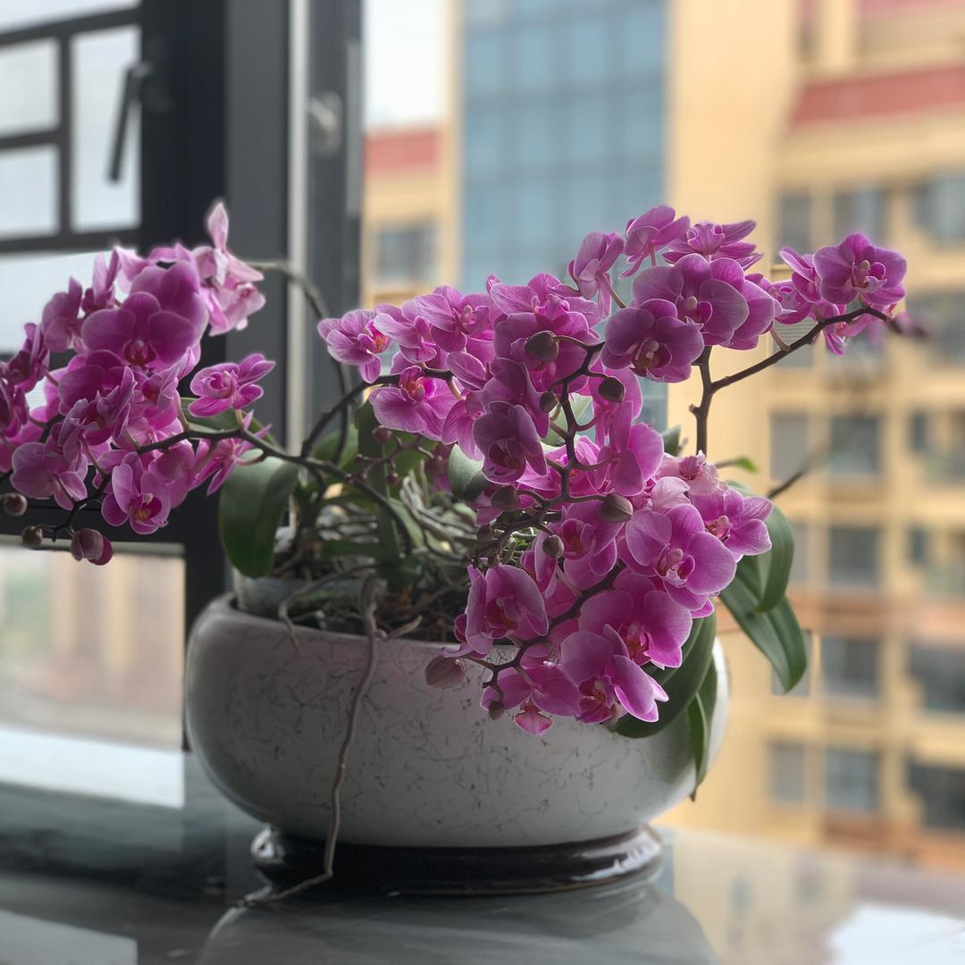 简单灬最美