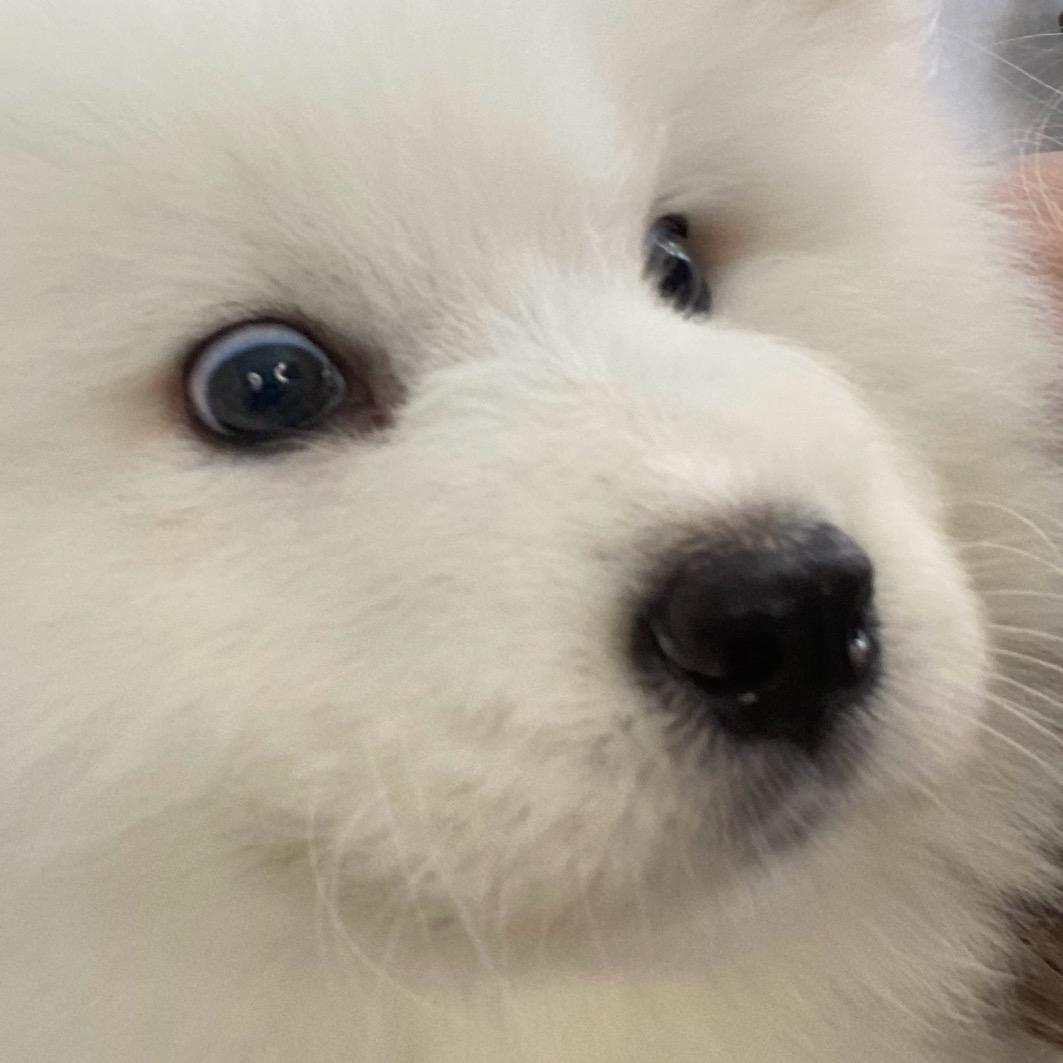如亿