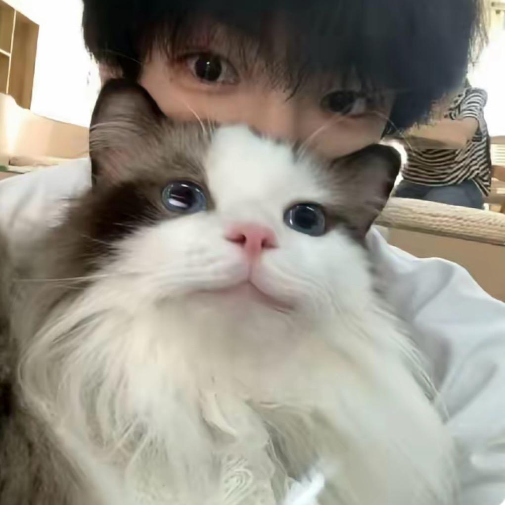 晚安小霖