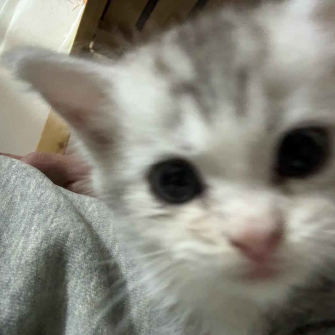 和这个世界变熟