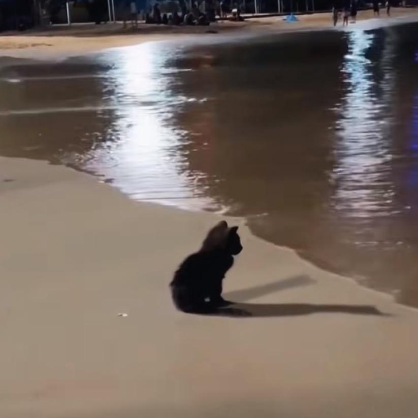 天浔