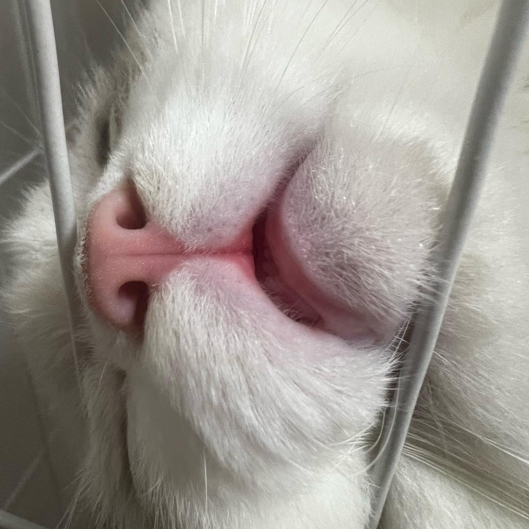 ￴ ￴￴ ￴ ￴ ￴