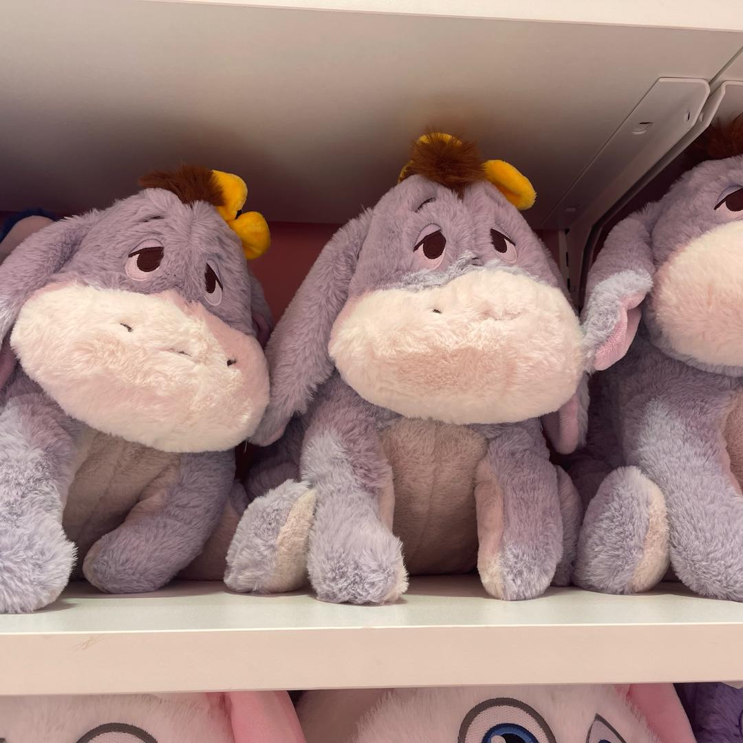 流浪狗大王四海为家🧣