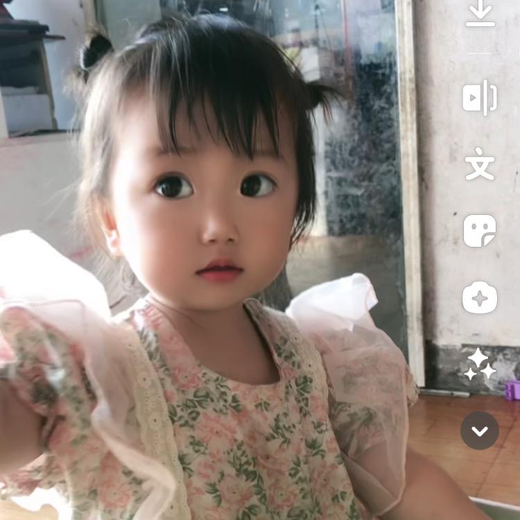 💥半夏 💥