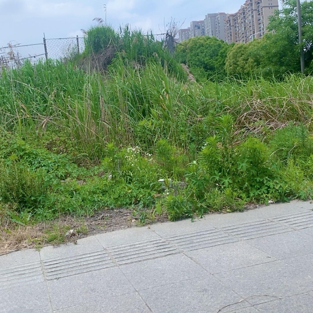 毛利高和